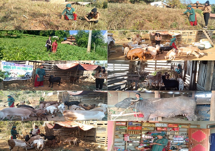 खेम कुमारी रिजालको सफलताको कथा शाखा कार्यालय ध्यालचोक, गोरखा